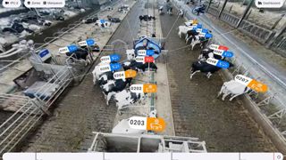 Le logiciel AIHerd affiche en temps réel les informations sur le comportement de chaque animal et son identité.