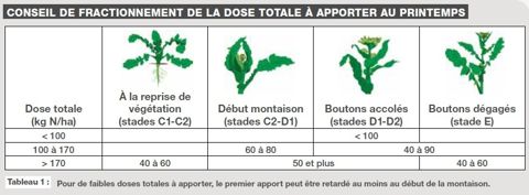 Conseil de fractionnement de la dose totale à apporter au printemps