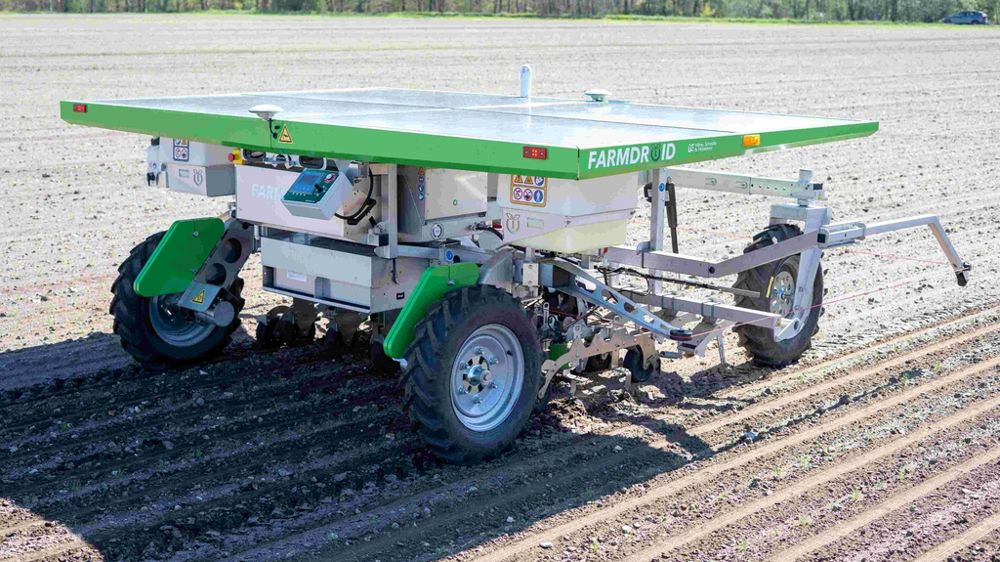 Le robot FD20 de FarmDroïd
s'est trouvé une place dans le désherbage de cultures en rangs.