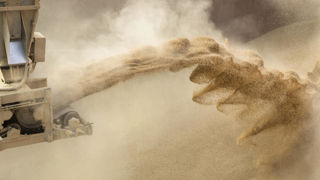 Les prix des céréales et du colza sont restés stables cette semaine.