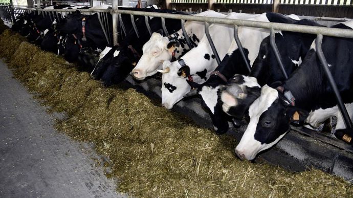 Les pistes du gouvernement pour décarboner l&rsquo;agriculture d&rsquo;ici 2050