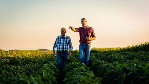 Jeunes agriculteurs et cédants : plusieurs nouveautés pour 2026.