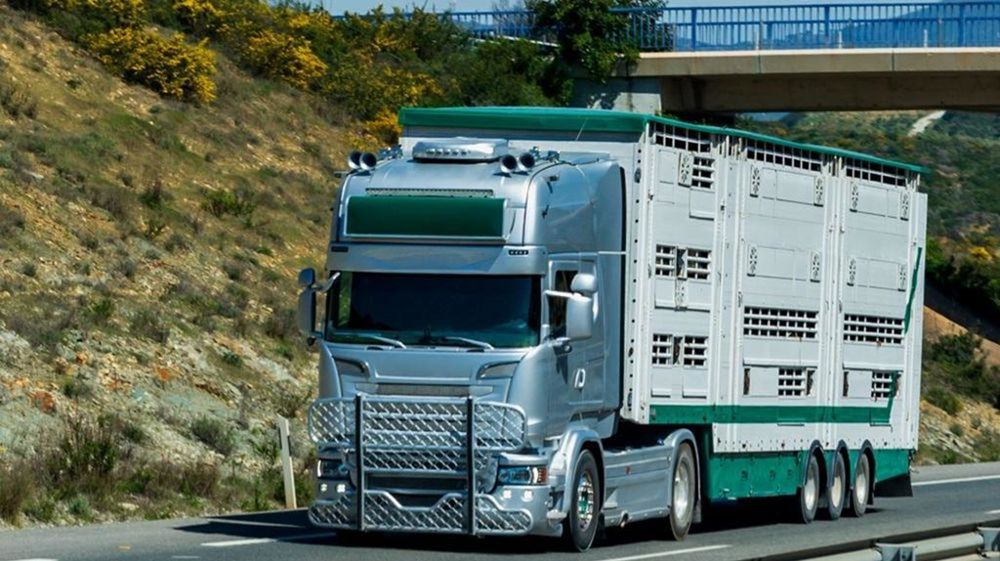 Les autorités ont annoncé un renforcement des contrôles pour éviter l'arrivée du virus dans le nord-ouest de la France, grande région d'élevage.