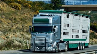 Les autorités ont annoncé un renforcement des contrôles pour éviter l'arrivée du virus dans le nord-ouest de la France, grande région d'élevage.