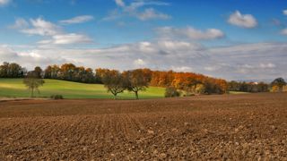 L'automne 2025 a été assez classique.