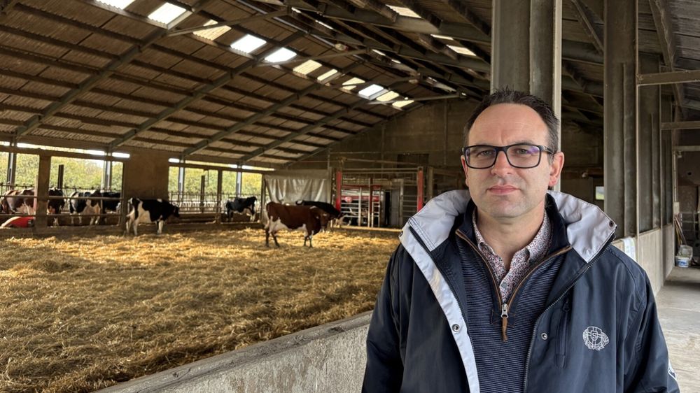 Gauthier Bossut éleveur laitier à la Chapelle-à-Oie en Belgique Wallonie