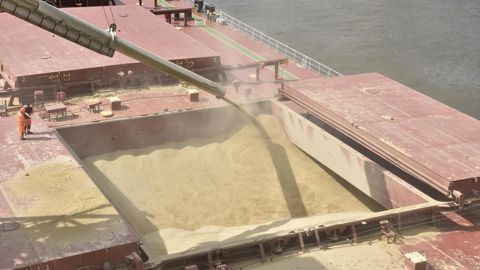 La renforcement de l'euro s'ajoute à des fondamentaux lourds qui pénalisent les grains européens.