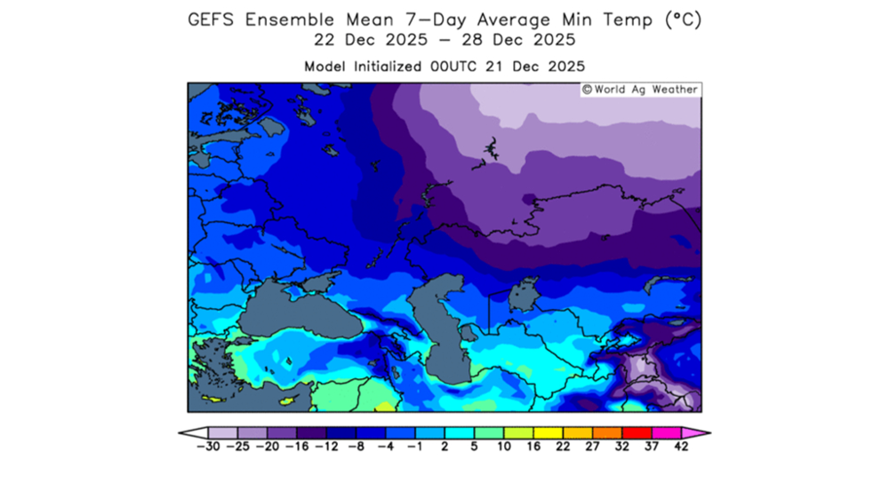 La baisse des températures ne devrait pas causer de dégâts en Russie.