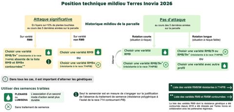 Position technique mildiou Terres Inovia 2026 Position technique mildiou Terres Inovia 2026