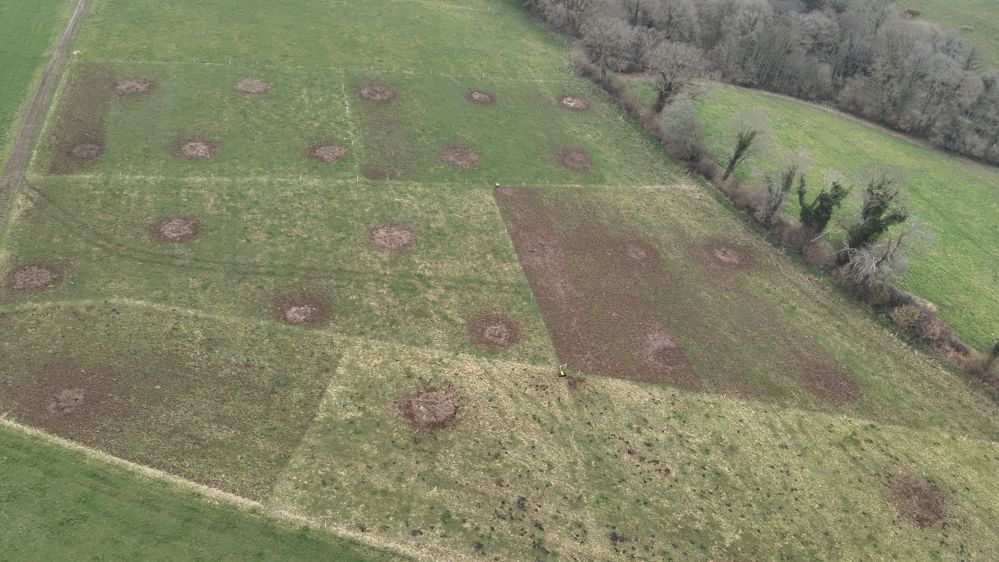 Parcelle de bale grazing hivernal Trévarez 29