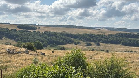 L'été 2025 a été marqué par une sécheresse des sols, comme ici dans l'Aveyron.