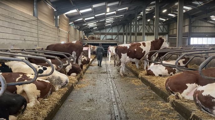 A l'approche de Noël, la gestion de la crise de la dermatose nodulaire contagieuse n'est peut-être pas un sujet à aborder à table si l'on ne veut pas créer la discorde.