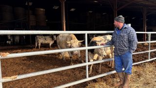 Florent préfère passer du temps à  observer ses bêtes plutôt que de travailler au bureau.
