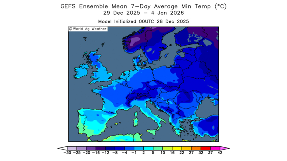 Les températures négatives restent suffisamment douces pour les cultures d'hiver.