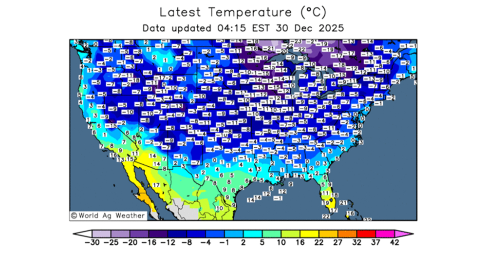 Le blé d'hiver américain subit des températures négatives critiques.
