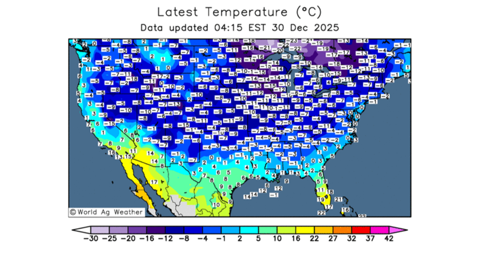 Le blé d'hiver américain subit des températures négatives critiques.