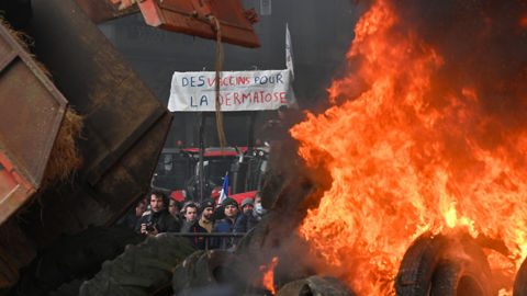Plus de 7000 agriculteurs agriculteurs européens selon les autorités ont défilé à Bruxelles le 18 décembre.