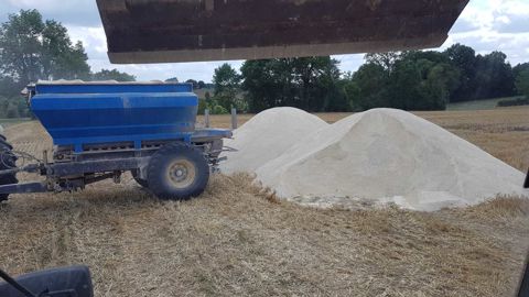 Le chaulage reste la méthode la plus courante pour neutraliser l’acidité. Deux facteurs influencent la rapidité d'action : la finesse de mouture et la nature chimique de l'amendement.