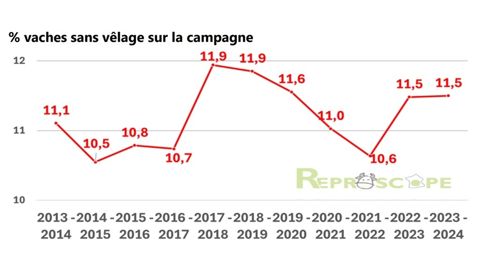 Par d'animaux improductifs sur les élevages allaitant au court des 11 dernières années.