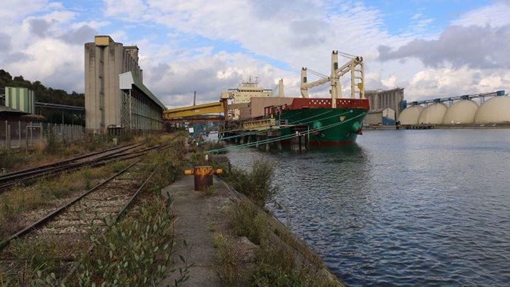 Sont aussi concernés le blé, l'orge, l'avoine, le seigle.