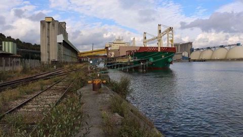 Sont aussi concernés le blé, l'orge, l'avoine, le seigle.