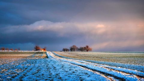 Les cultures européennes profitent d'une bonne couverture neigeuse.