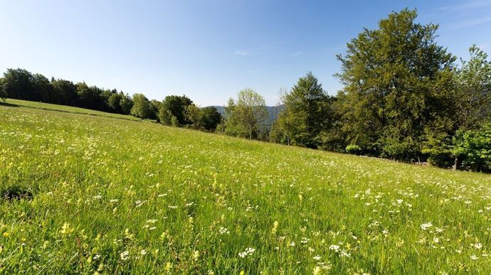 « Les éleveurs réfléchissent l’utilisation de leurs prairies en fonction des besoins physiologiques des animaux, et des objectifs de production mais pas en fonction de son impact sur la santé directement », rapporte Timothée Petit.