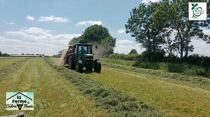 Cédric Boivineau désole de l'orge aplatie sur l'herbe avant le passage de la presse.