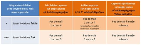 Recommandations techniques pour g&eacute;rer la chrysom&egrave;le du ma&iuml;s dans le ma&iuml;s grain et le ma&iuml;s fourrage en Alsace et Rh&ocirc;ne-Alpes, en fonction du nombre d&rsquo;adultes captur&eacute;s sur pi&egrave;ges chromatiques au cours de l&rsquo;ann&eacute;e pr&eacute;c&eacute;dente