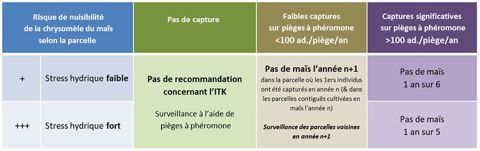 Recommandations techniques pour g&eacute;rer la chrysom&egrave;le du ma&iuml;s dans le ma&iuml;s grain et le ma&iuml;s fourrage ailleurs qu&rsquo;en Alsace et Rh&ocirc;ne-Alpes, en fonction du nombre d&rsquo;adultes captur&eacute;s sur pi&egrave;ges &agrave; ph&eacute;romone au cours de l&rsquo;ann&eacute;e pr&eacute;c&eacute;dente