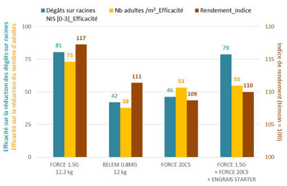 Int&eacute;r&ecirc;t d&rsquo;une protection insecticide appliqu&eacute;e au semis sur les d&eacute;g&acirc;ts observ&eacute;s sur racines, sur le nombre d&rsquo;adultes ayant &eacute;merg&eacute; et sur le rendement