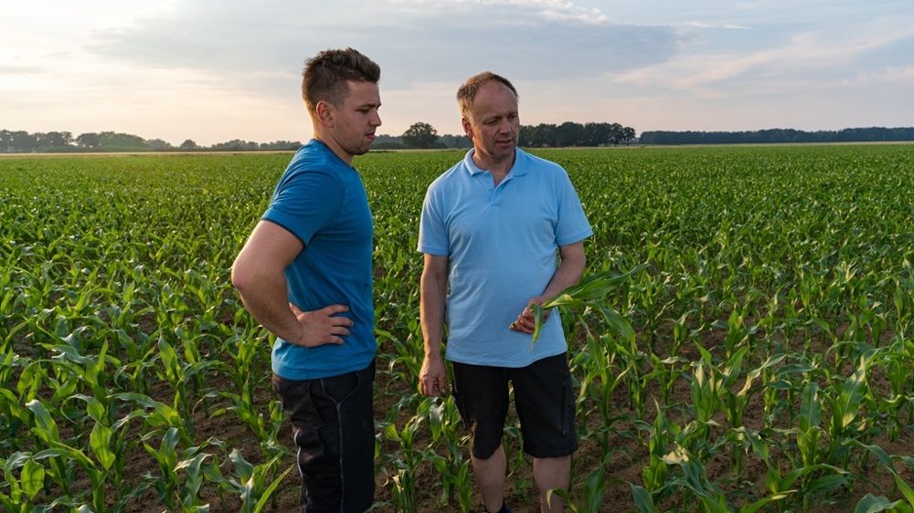 Deux agriculteurs dans un champ de maïs