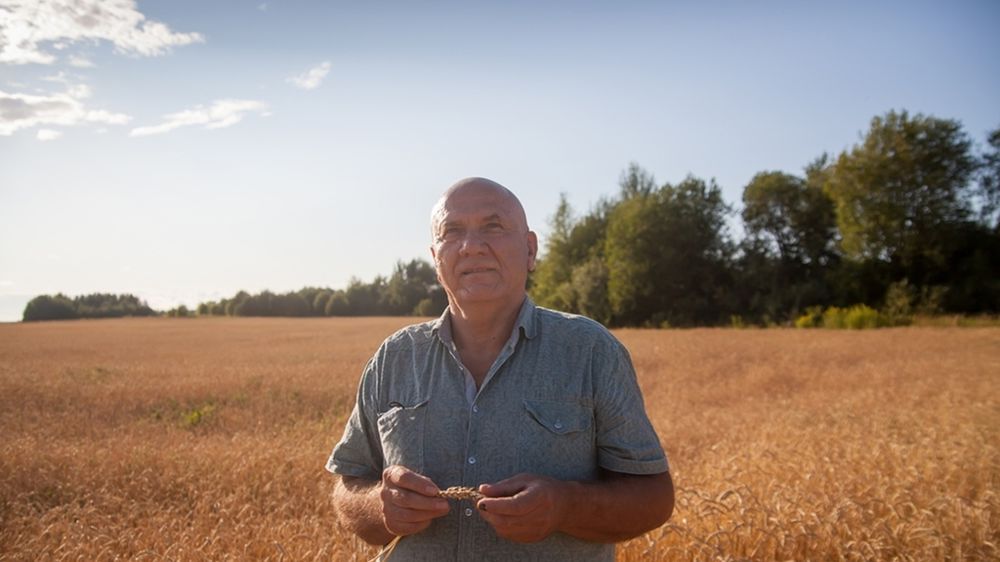 Vieil agriculteur dans un champ de blé