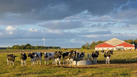 Selon l'AEE, la Suède devrait voir la valeur de ses terres augmenter à horizon 2100 en raison du changement climatique.