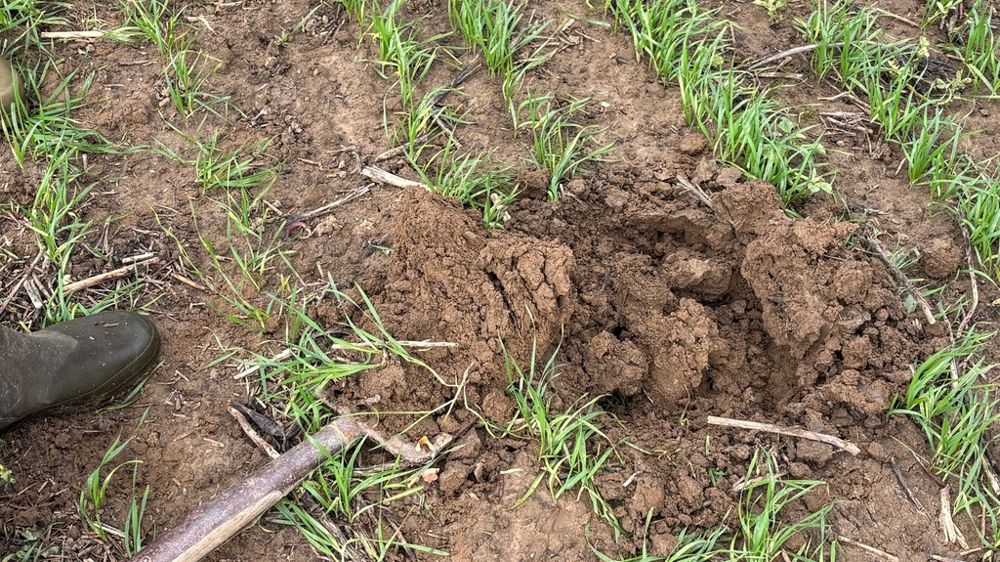 Bêche dans un champ