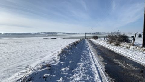 Suite à la vague de froid de début janvier, l'institut technique recommande d'observer finement les parcelles de céréales à paille pour vérifier la reprise.