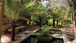 Le jardin botanique du château de Vauville, lauréat du Prix de l’Art du Jardin 2025.