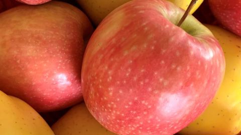 En décembre 2025, le volume de pommes commercialisées reste stable sur un an, autour des 95 000 tonnes.