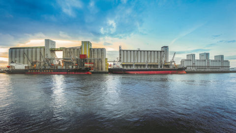 7,36 Mt de grains ont transités par le port de Rouen en 2025.