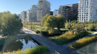 En 2026, Plante & Cité célèbre ses vingt ans et conforte son rôle de centre de ressources dans le domaine de la nature en ville
