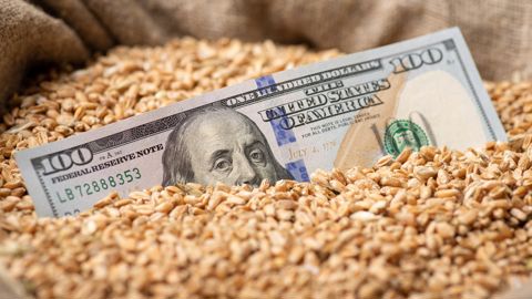 Le dollar a subi un recul de 2 % en une semaine.