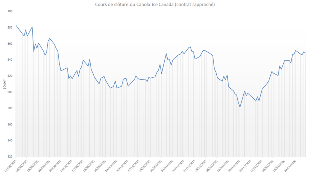 Les prix du canola canadien ont rapidement grimpé ces dernières semaines.