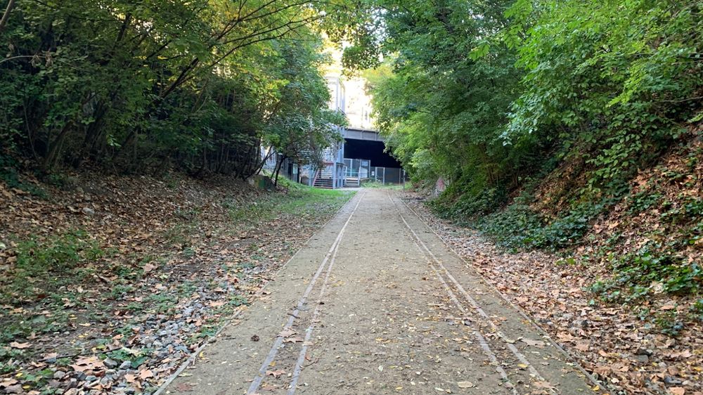 Les « superficies d’établissement » entrant dans la définition de l’artificialisation sont définies de manière large, incluant à la fois les infrastructures construites et les espaces végétalisés qui y sont intégrés.