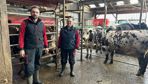 Grâce au robot de traite, Mathieu et Corinne Rivière ont pu rapidement détecter la fièvre des vaches et leur baisse de production, dès l'arrivée de la FCO 3 sur leur ferme en août 2025.