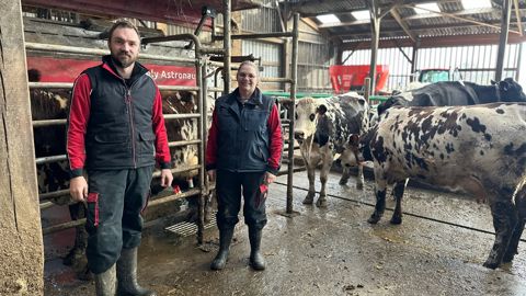 Grâce au robot de traite, Mathieu et Corinne Rivière ont pu rapidement détecter la fièvre des vaches et leur baisse de production, dès l'arrivée de la FCO 3 sur leur ferme en août 2025.