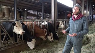 Guylain Grange jeune éleveur de vaches laitières