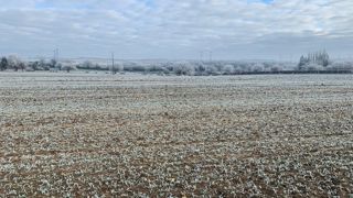La première décade a été particulièrement froide.