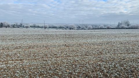 La première décade a été particulièrement froide.