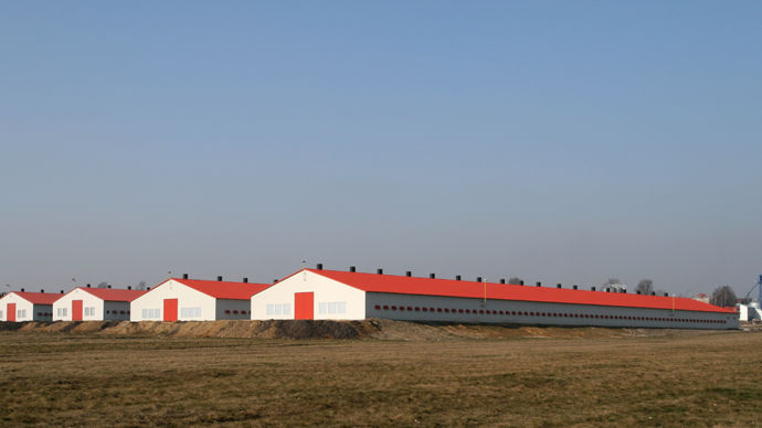 La Pologne compte environ 10 000 élevages de volailles. Plus de la moitié de la production est exportée.