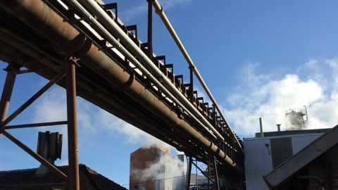 La richesse en sucre des betteraves est particulièrement élevée cette année, à plus de 18 %.